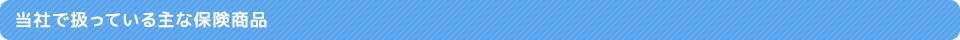 当社で扱っている主な保険商品